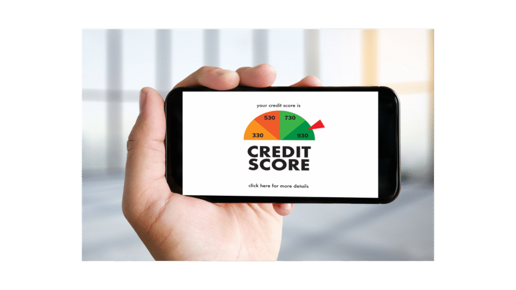 Credit score repair agency in Nashik